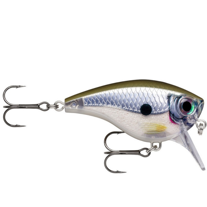 rapala-bx-big-brat-06-pgs.jpg