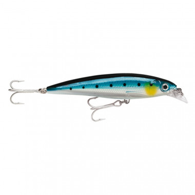 Rapala X-Rap Saltwater 10