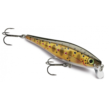 Modelo Rapala BX Minnow