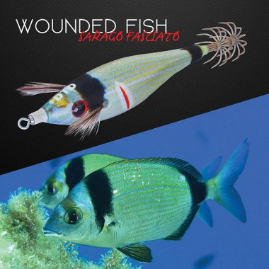 DTD WOUNDED FISH 1.5