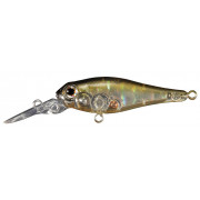 SMITH JADE MD S 43 Nacré Color -06