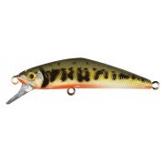 SMITH D-COMPACT 45 Color - V1