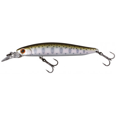 SMITH CHERRY BLOOD MD 70