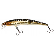 TS-J-Minnow-hd.jpg