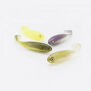 000-adusta-penta-shad-2.jpg