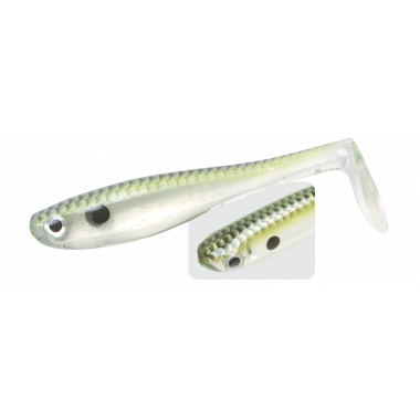 Modelo Zoom Swimmer 4