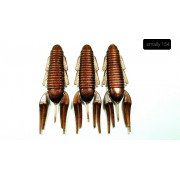 Diema Baits Smally 3.75