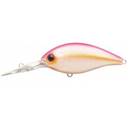 Evergreen Combat Crank 320 - 256 - Glow Peach