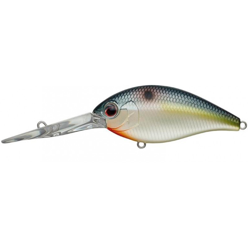 62-natural_shad_9.jpg