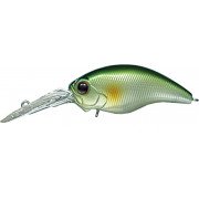 Evergreen Modo Wildhunch - 27 - Ayu