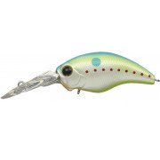 Evergreen Modo Wildhunch - 271 - Champion Shad