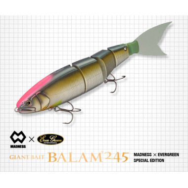 Modelo Evergreen Giant Bait Balam 245