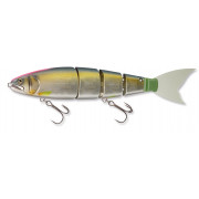 Evergreen Giant Bait Balam 245 - 644 - Hibiz Natural