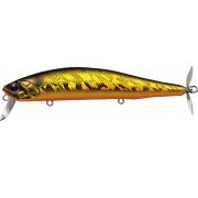 Evergreen Combat Wake Magic - 211 - Golden Shiner