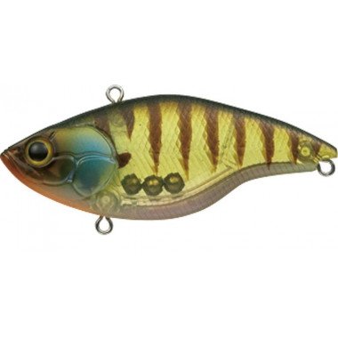 Evergreen Inspire Custom Buzzer Beater - Hight Sound - 231 - Glass Gill