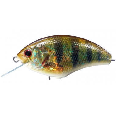 O.S.P. Blitz Max - UE Colors