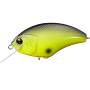 O.S.P. Blitz Max - P20 - Chart Black Back