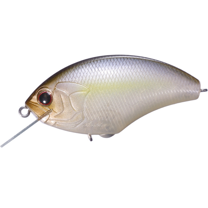 p23-tasty_shad_40.jpg