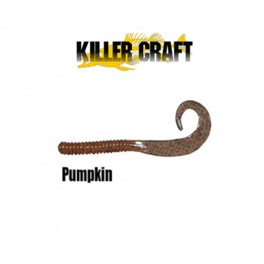 Modèle Killer Craft - Slide Worm 4,5