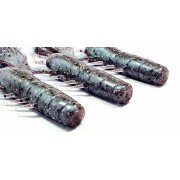 Diema Baits Craw 4