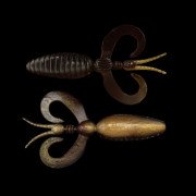 Dranckrazy Derange EX 5