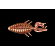 Dranckrazy Oham EX 4,3