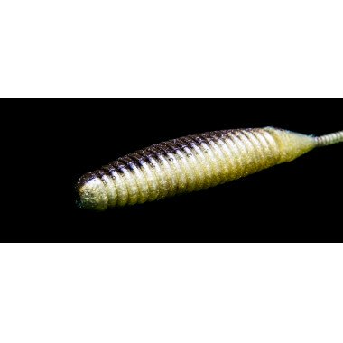 Modello Dranckrazy Sodom