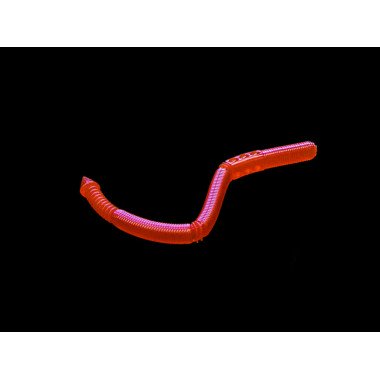 Modello Dranckrazy Jammer 6