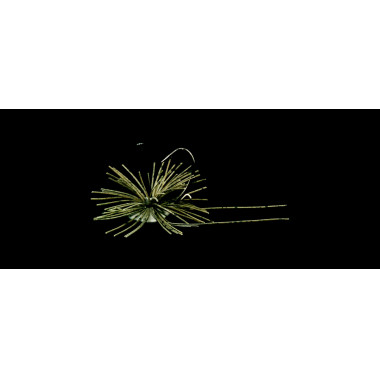 Dranckrazy Seduct 7gr