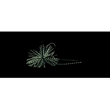 Dranckrazy Seduct 14gr