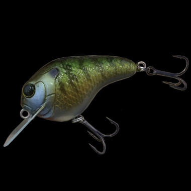  Dranckrazy Gillbokkuri 70 - Model