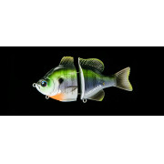 Dranckrazy Gargoyle 2J 145 - Color 09 - Noikegill Gloss