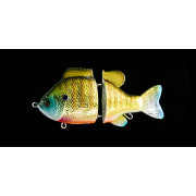 Dranckrazy Gargoyle Jr 120 - Color 15 - Goldgill Gloss