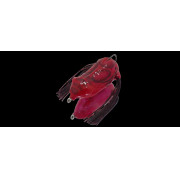 Dranckrazy Pulsar - Color 03 - Bloody Claw