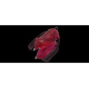 Dranckrazy Pulsar - Color 03 - Bloody Claw