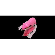 Dranckrazy Pulsar - Color 06 - Pink Amagaeru