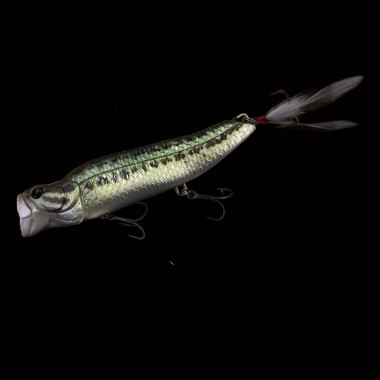  Dranckrazy Ravin 125 - Model