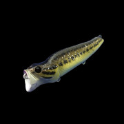 Dranckrazy Ravin 125 - Color 24 - Mad Baby Bass