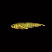 Dranckrazy Swimmy 60 - Color 01 - Black Gold