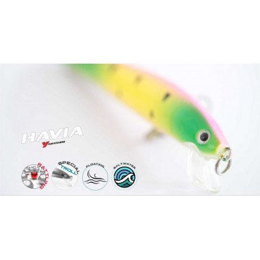 Modelo Yamashiro Havia 100 - 7gr