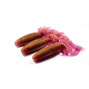 Diema Baits Deep Bullet 4