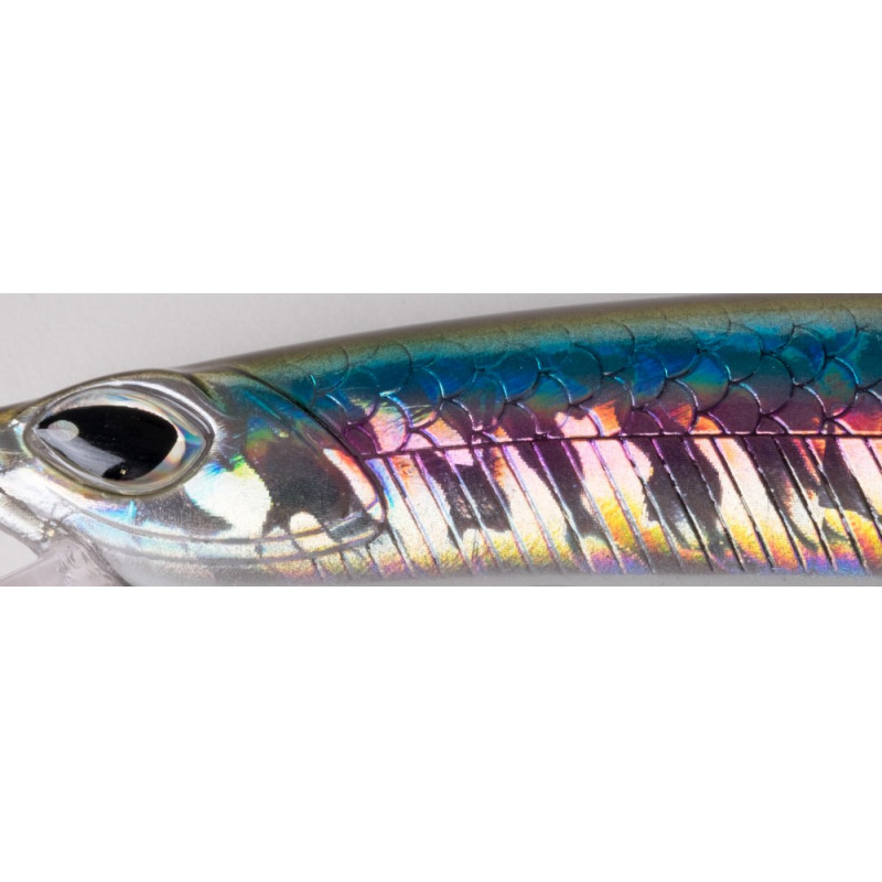 02_cinnetic_crafty_minnow_150F_anchovy_340001.jpg