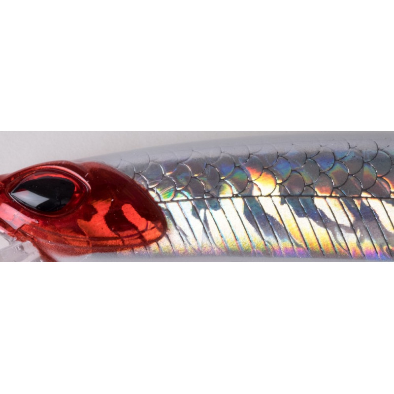 08_cinnetic_crafty_minnow_150F_bloody_clown_340006.jpg