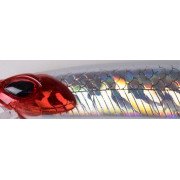 08_cinnetic_crafty_minnow_150F_bloody_clown_340006.jpg