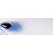Cinnetic Crafty Minnow 150F - 09 - White Zombie