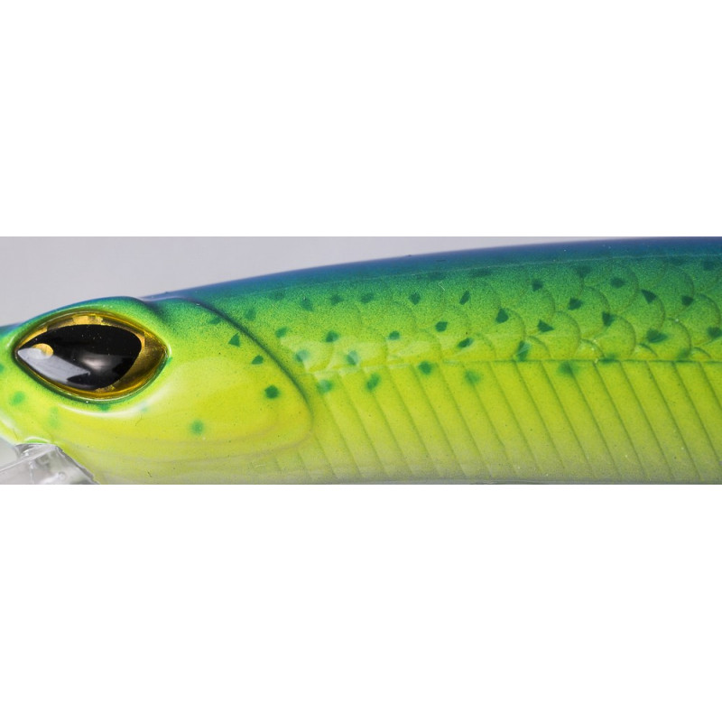 10_cinnetic_crafty_minnow_150F_dolphin_fish_340075.jpg