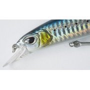 Cinnetic Bay Bandit 135F - 01 - Natural Sardine