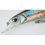 Cinnetic Bay Bandit 135F - 02 - Anchovy