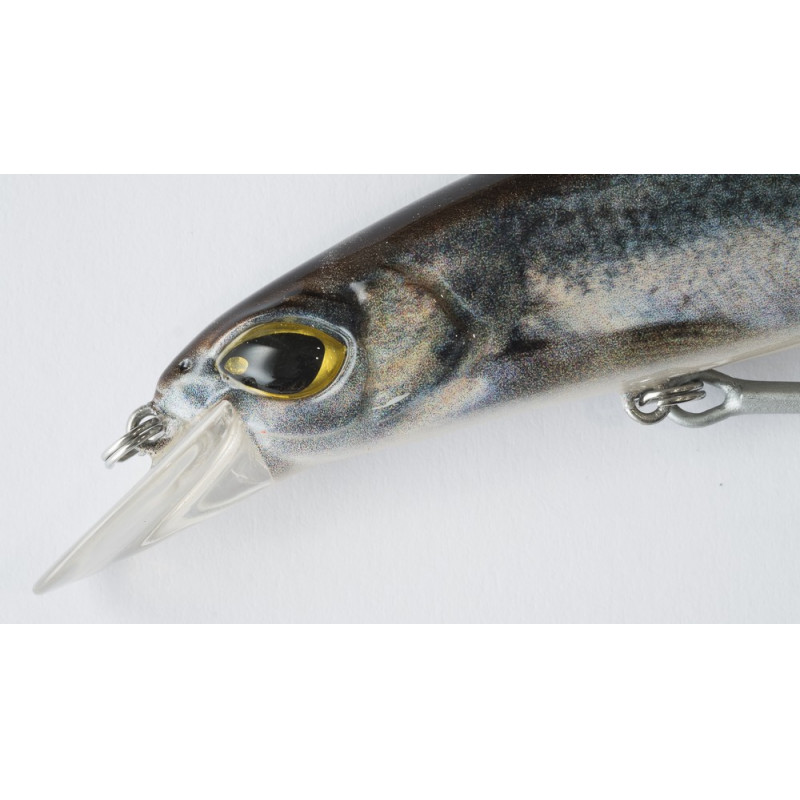 14_cinnetic_bay_bandit_135f_herring_340081.jpg