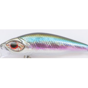 Cinnetic Baby Boom 50S - 02 - Anchovy